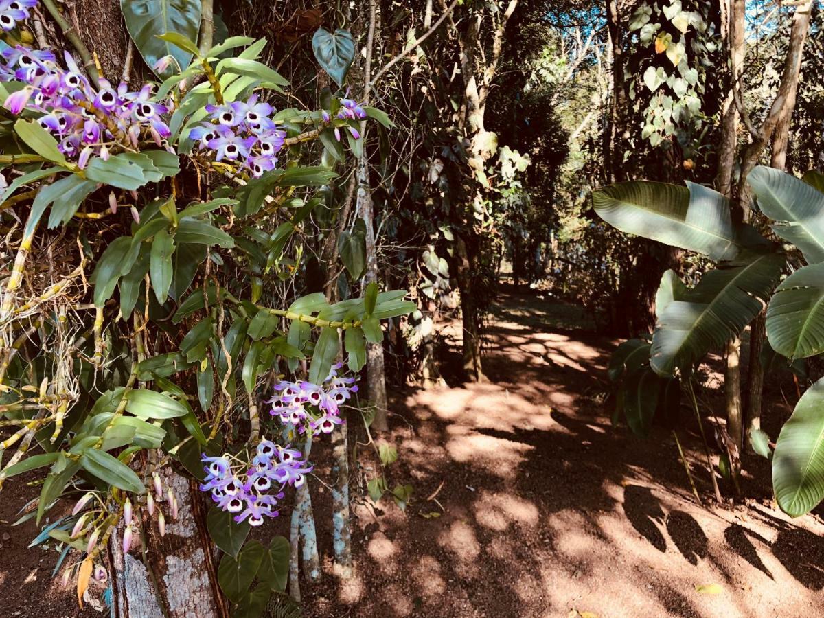 Chacara Quinta Dos Esquilos Villa Cotia  Exteriör bild