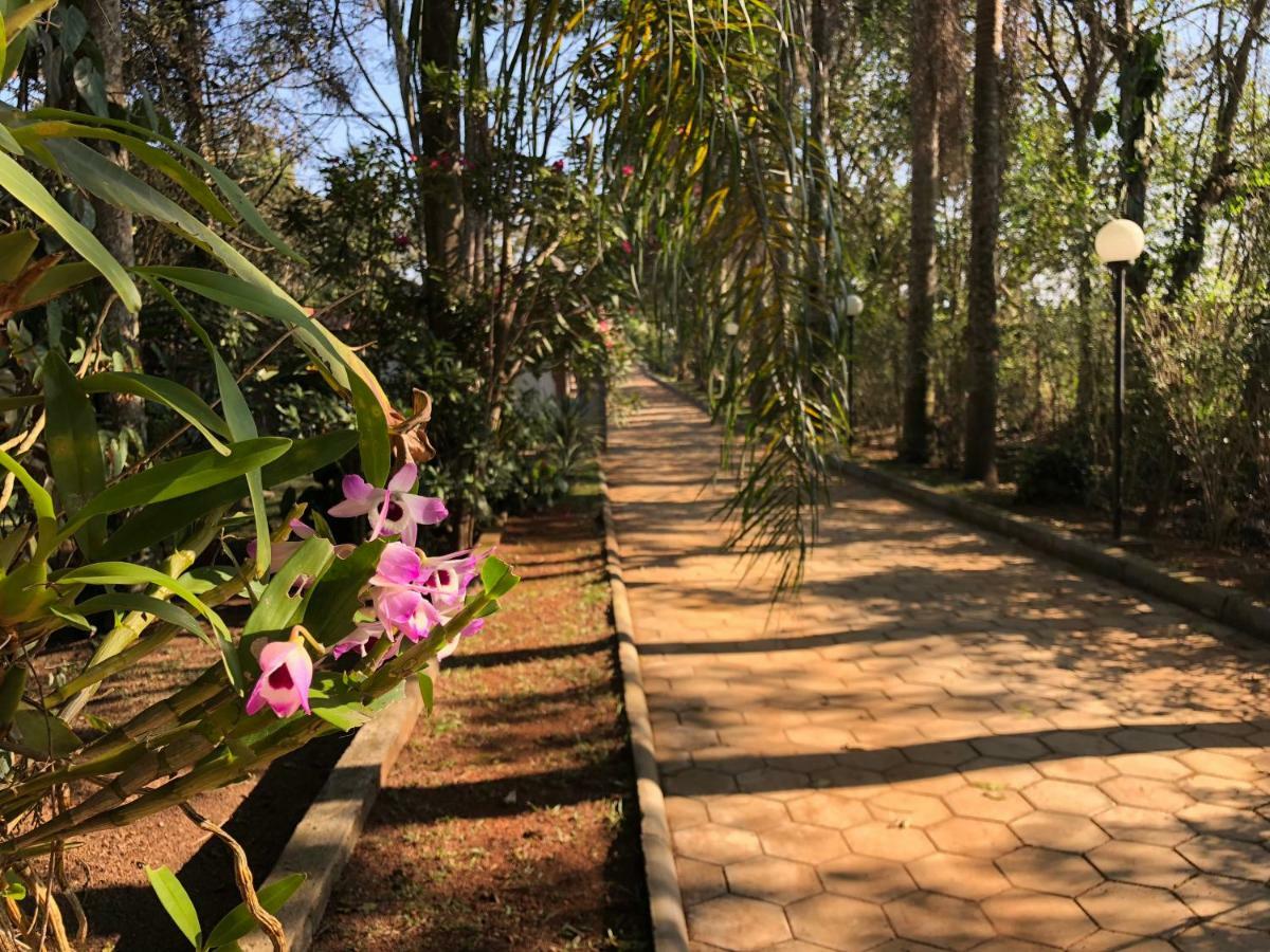 Chacara Quinta Dos Esquilos Villa Cotia  Exteriör bild